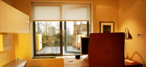 frognal-6